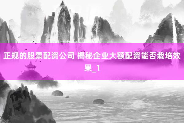 正规的股票配资公司 揭秘企业大额配资能否栽培效果_1